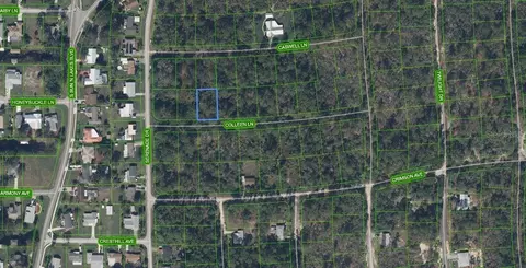 208 Coleen Ln, Lake Placid, FL 33852