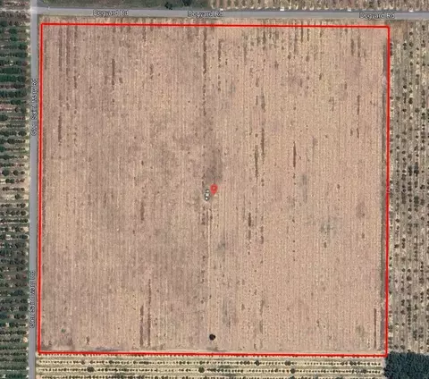 Dog Yard Road, Lake Wales, FL 33898