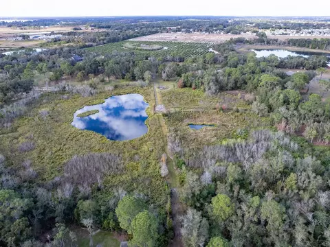 View/Area - 4305 Old Bartow Eagle Lake Rd, Bartow, FL 33830 photo 9 of 18