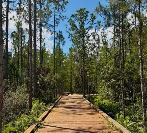 Other - 3007 Mirage Pl, Saint Cloud, FL 34771 photo 18 of 18