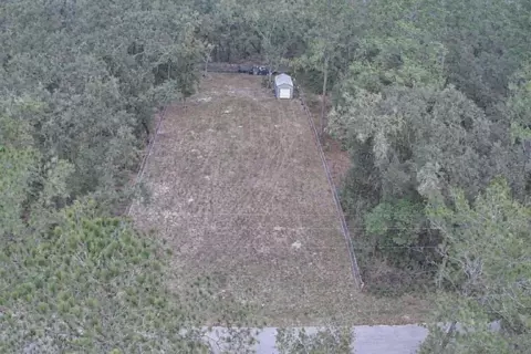 33469 August Ave, Webster, FL 33597 photo 2