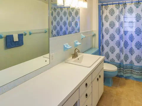 Bath - 610 Lyle Pkwy, Bartow, FL 33830 photo 2 of 4