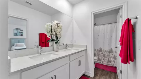 Bath - 12897 Bergstrom Bay Dr, Riverview, FL 33579 photo 6 of 10