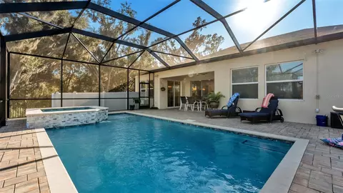 Exterior - 12897 Bergstrom Bay Dr, Riverview, FL 33579 photo 12 of 15