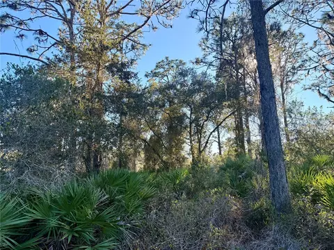 903 Hibiscus Dr, Indian Lake Estates, FL 33855