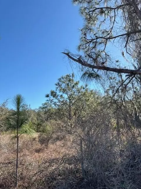 Old Grade Road, Polk City, FL 33868