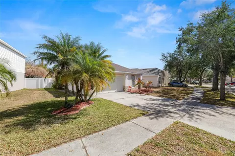 Exterior - 10534 Opus Dr, Riverview, FL 33579 photo 7 of 8