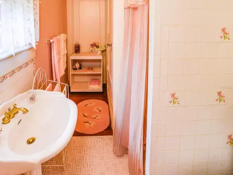 Bath - 1095 S Broadway Ave, Bartow, FL 33830 photo 3 of 3
