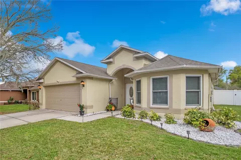 2724 Buckhorn Preserve Blvd, Valrico, FL 33596