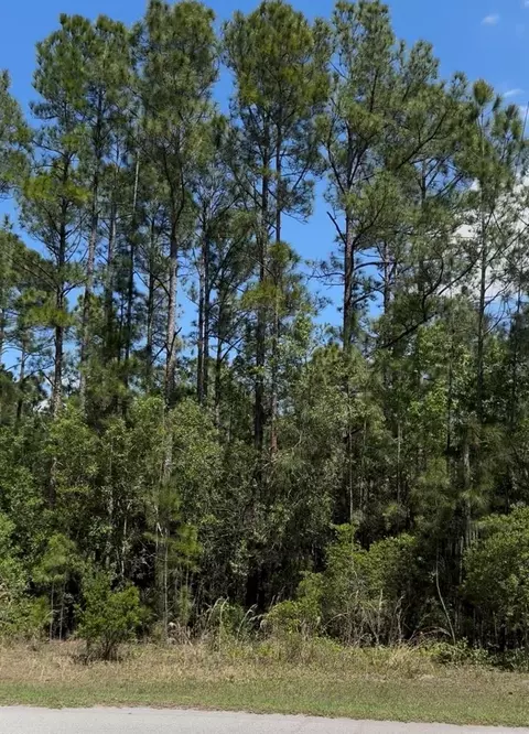 510 Hidden Palms Dr, Davenport, FL 33897
