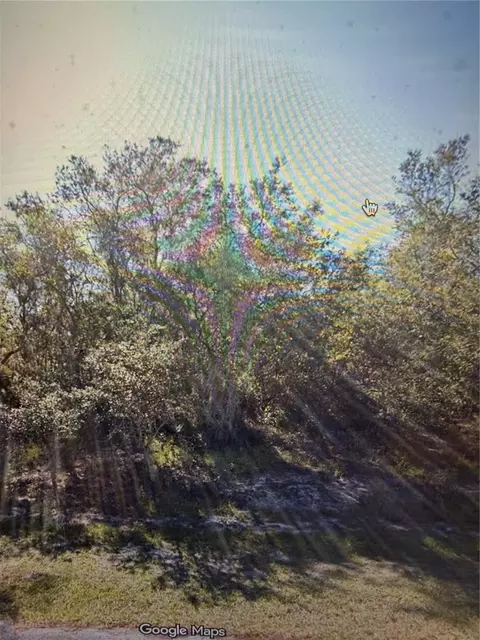 1348 Tallahassee Ct, Kissimmee, FL 34759