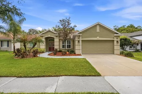 2214 Longmore Cir, Valrico, FL 33596
