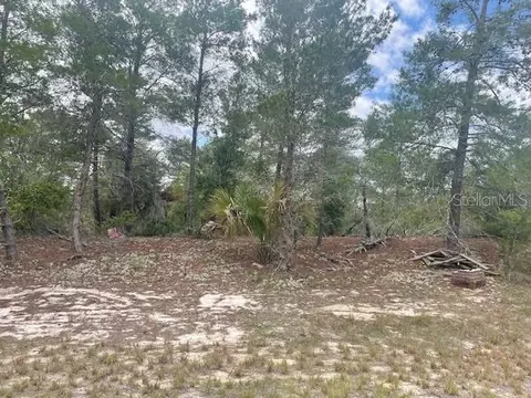 1342 Homosassa Dr, Poinciana, FL 34759