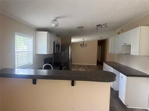 12703 Lovers Ln, Riverview, FL 33579 photo 7