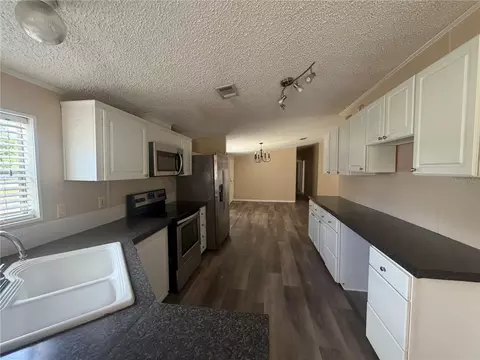 12703 Lovers Ln, Riverview, FL 33579 photo 3