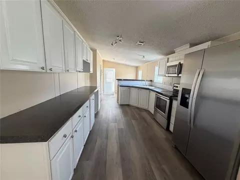 12703 Lovers Ln, Riverview, FL 33579 photo 4