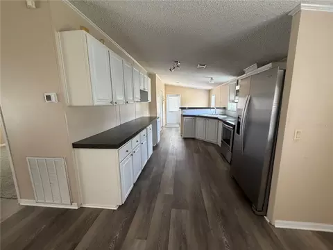 12703 Lovers Ln, Riverview, FL 33579 photo 5