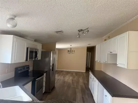 12703 Lovers Ln, Riverview, FL 33579 photo 6