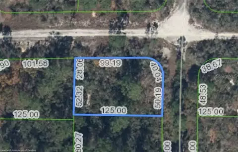 284 Rainbow Dr, Lake Placid, FL 33852