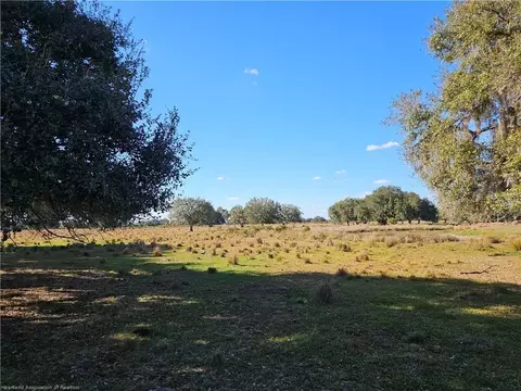320 Grigsby Rd, Venus, FL 33960 photo 5