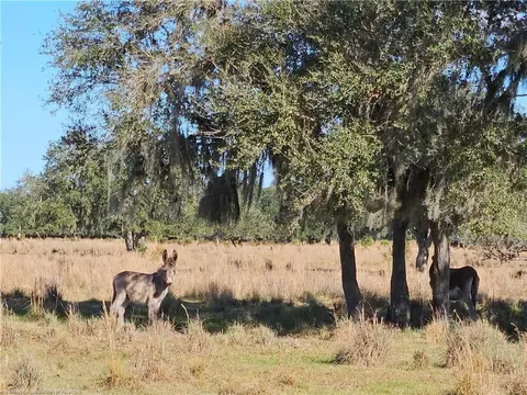 320 Grigsby Rd, Venus, FL 33960 photo 8