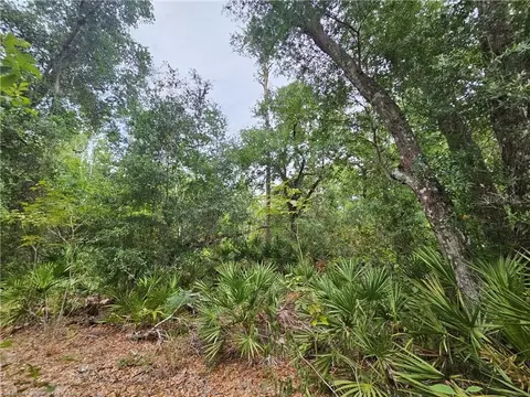 12000 Us-98, Sebring, FL 33876 photo 12