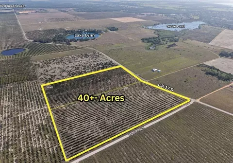 8961 County Road 17 S, Sebring, FL 33876 photo 3