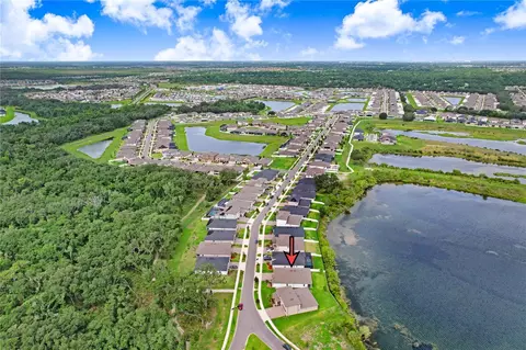 View/Area - 12876 Bergstrom Bay Dr, Riverview, FL 33579 photo 8 of 9