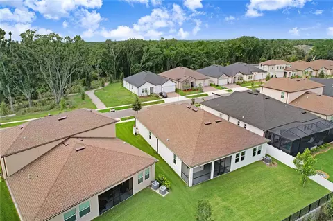 View/Area - 12876 Bergstrom Bay Dr, Riverview, FL 33579 photo 5 of 9
