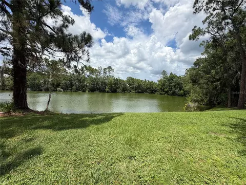 15637 Morning Dr, Lutz, FL 33559