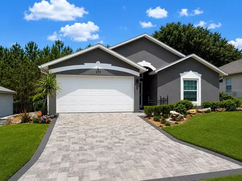 239 China Berry Cir, Davenport, FL 33837