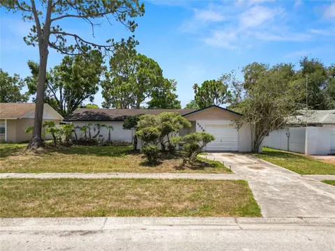 5028 Headland Hills Ave, Tampa, FL 33625