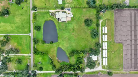 View/Area - 5503 Downing St, Dover, FL 33527 photo 3 of 5