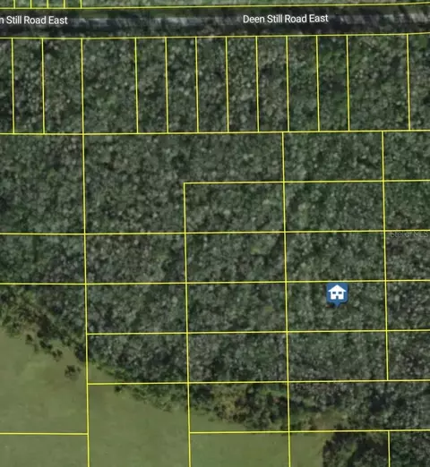 Deen Still Road E, Polk City, FL 33868