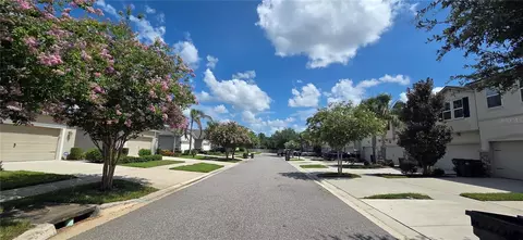 View/Area - 10322 Holstein Edge Pl, Riverview, FL 33569 photo 1 of 5