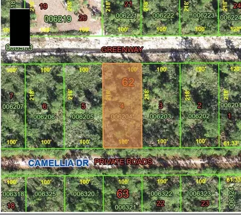 Camellia Drive, Indian Lake Estates, FL 33855