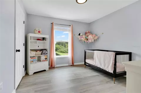 Bedroom - 10304 River Bream Dr, Riverview, FL 33569 photo 2 of 7