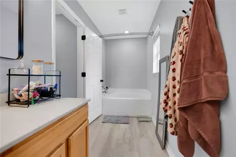 Bath - 10304 River Bream Dr, Riverview, FL 33569 photo 3 of 4