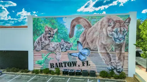Other - 520 S Jackson Ave, Bartow, FL 33830 photo 12 of 12