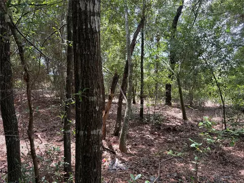 0 Pine Ter, Ocala, FL 34472 photo 7