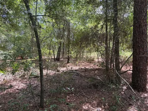 0 Pine Ter, Ocala, FL 34472 photo 6