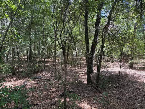 0 Pine Ter, Ocala, FL 34472 photo 5