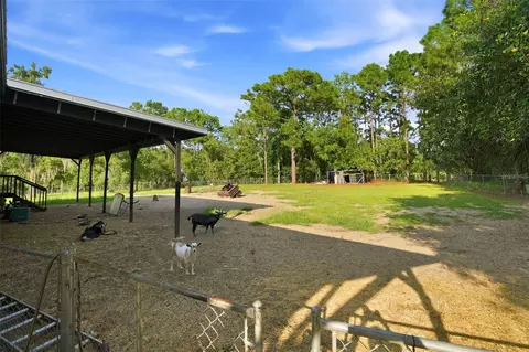 Exterior - 1710 E Ray St, Hernando, FL 34442 photo 8 of 8