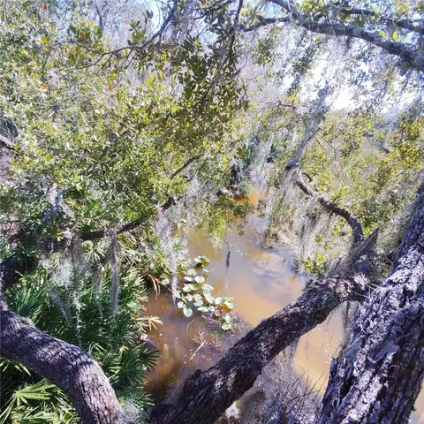Deer Road, Frostproof, FL 33843 photo 20