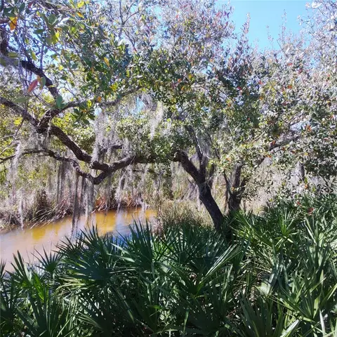 Deer Road, Frostproof, FL 33843 photo 19