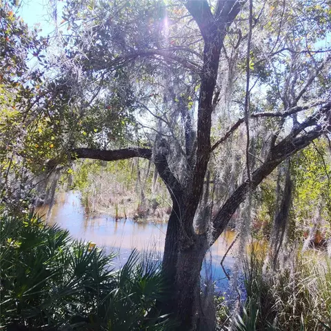 Deer Road, Frostproof, FL 33843 photo 18