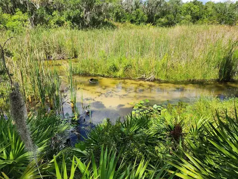 Deer Road, Frostproof, FL 33843 photo 2