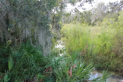Deer Road, Frostproof, FL 33843 photo 9