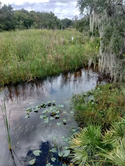 Deer Road, Frostproof, FL 33843 photo 17