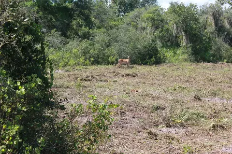 Deer Road, Frostproof, FL 33843 photo 14